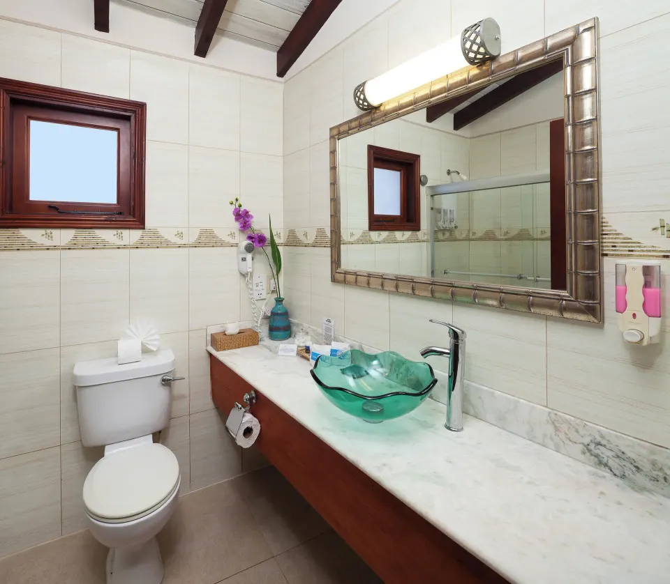 Garden View Suite bathroom with glass vessel sink at Sugar Cane Club Hotel And Spa.