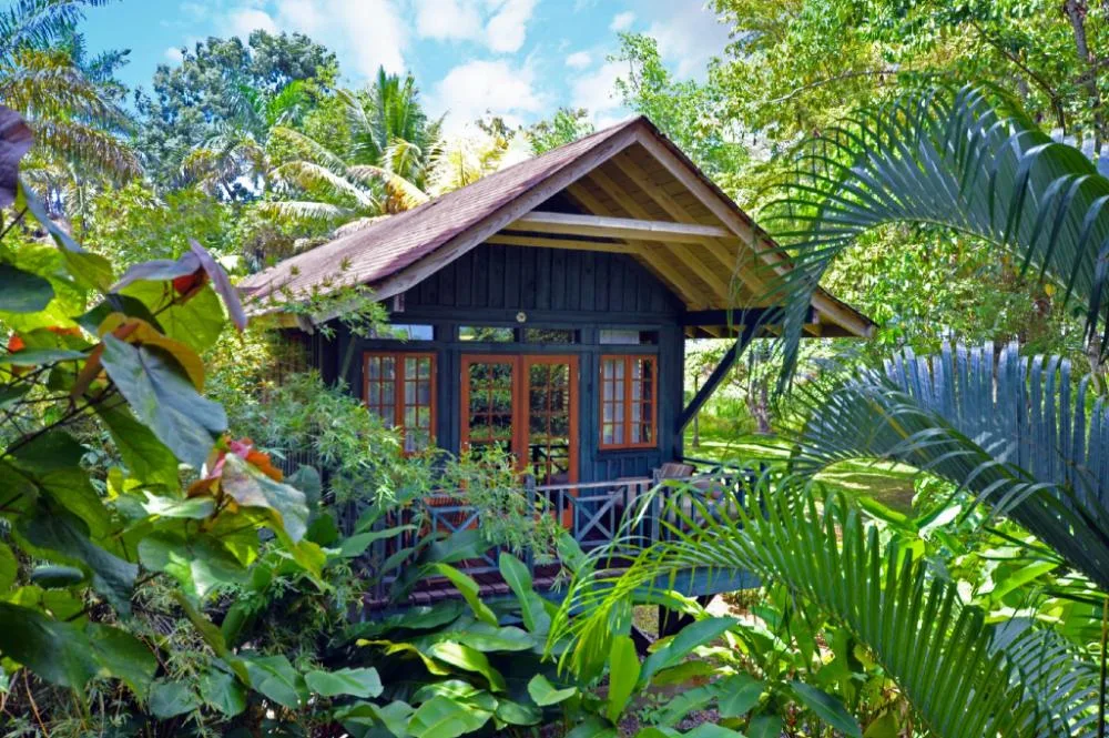 Treetop Standard Room exterior surrounded by tropical greenery at Sunset at the Palms Resort.