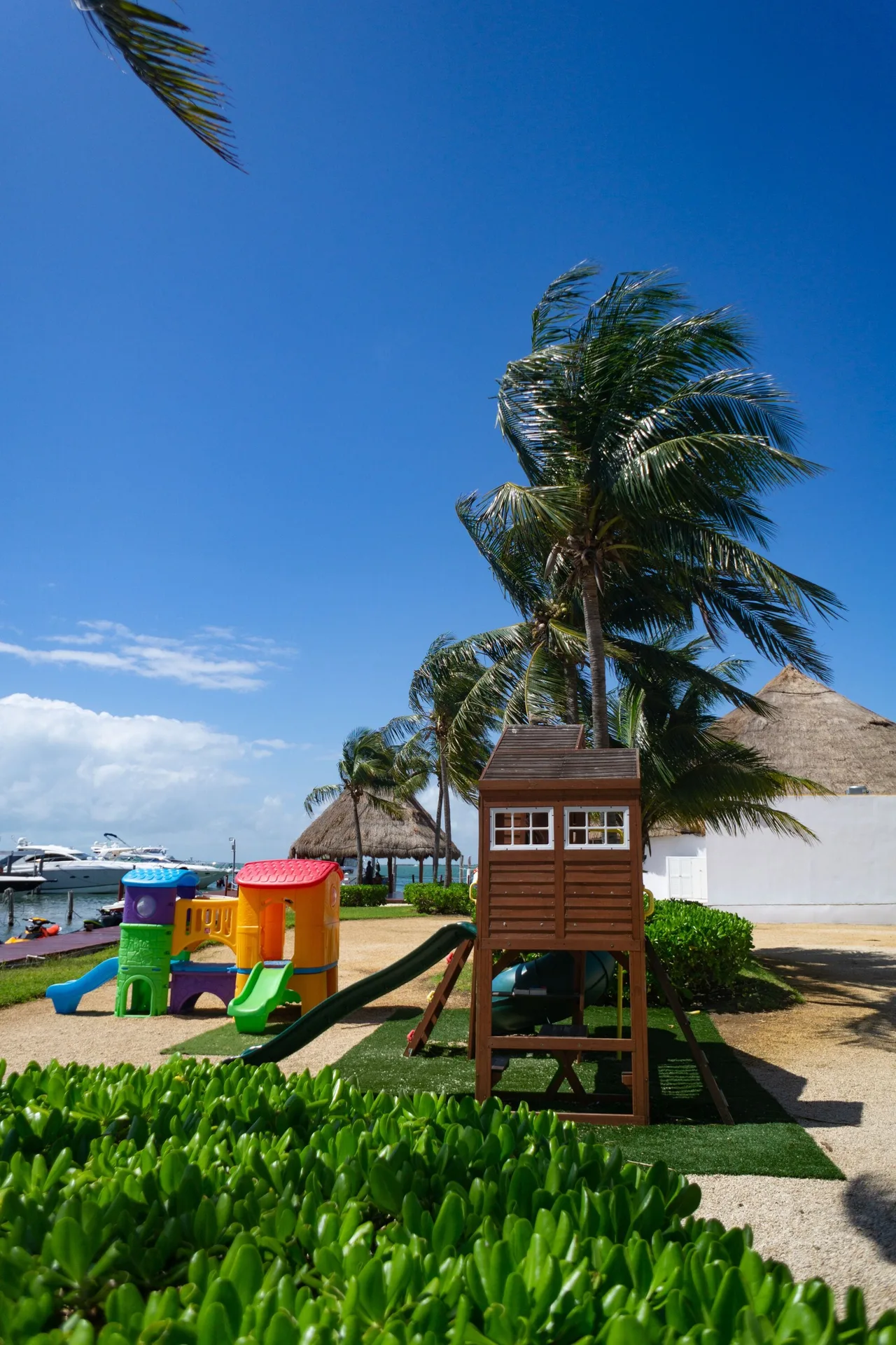 Children's play structures by palms and marina water at Sunset Marina Resort & Yacht Club.
