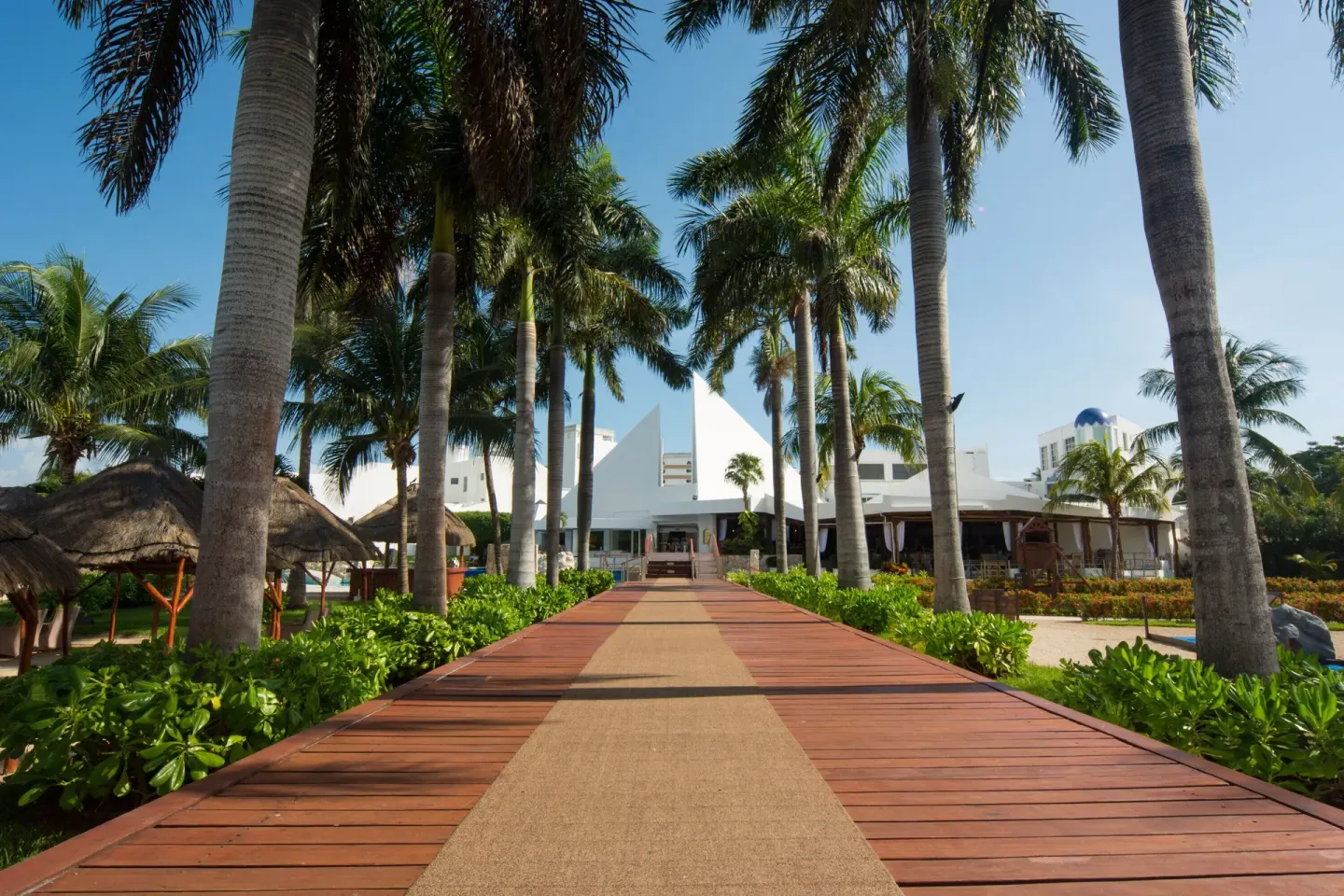 Palm-lined boardwalk through the grounds at Sunset Marina Resort & Yacht Club.