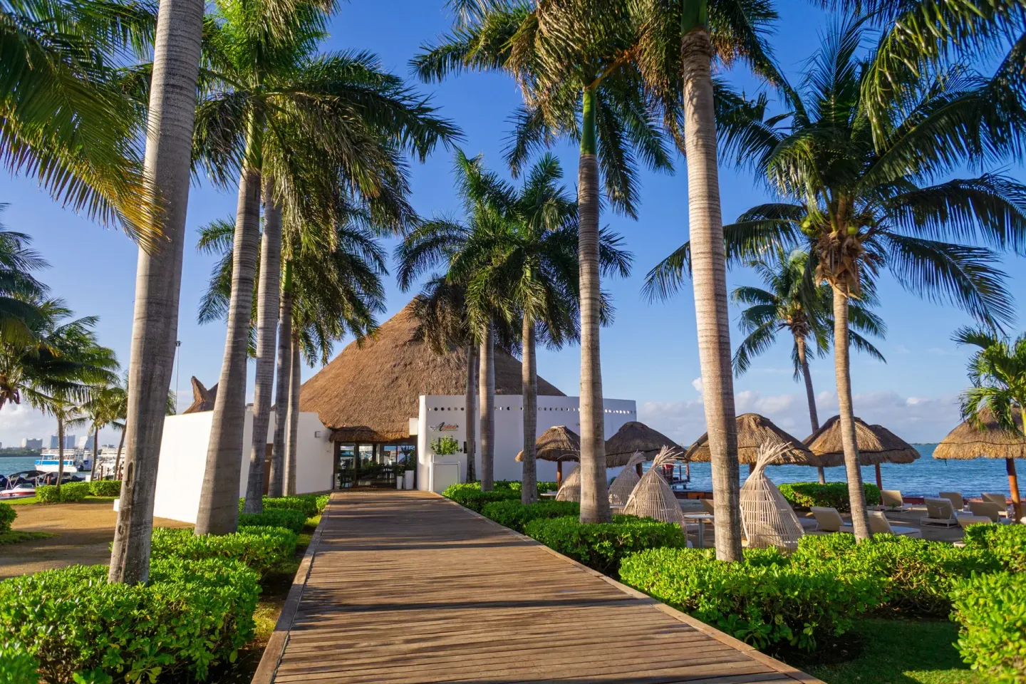 Palm-lined boardwalk leading to La Vela at Sunset Marina Resort & Yacht Club.
