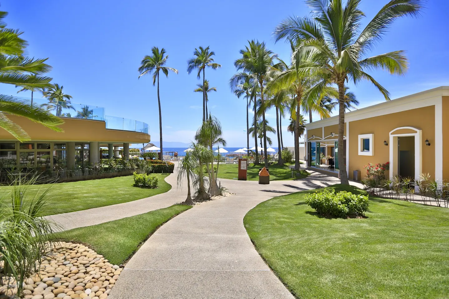 Palm-lined resort walkway at Sunset Plaza Beach Resort & Spa Pto Vallarta.