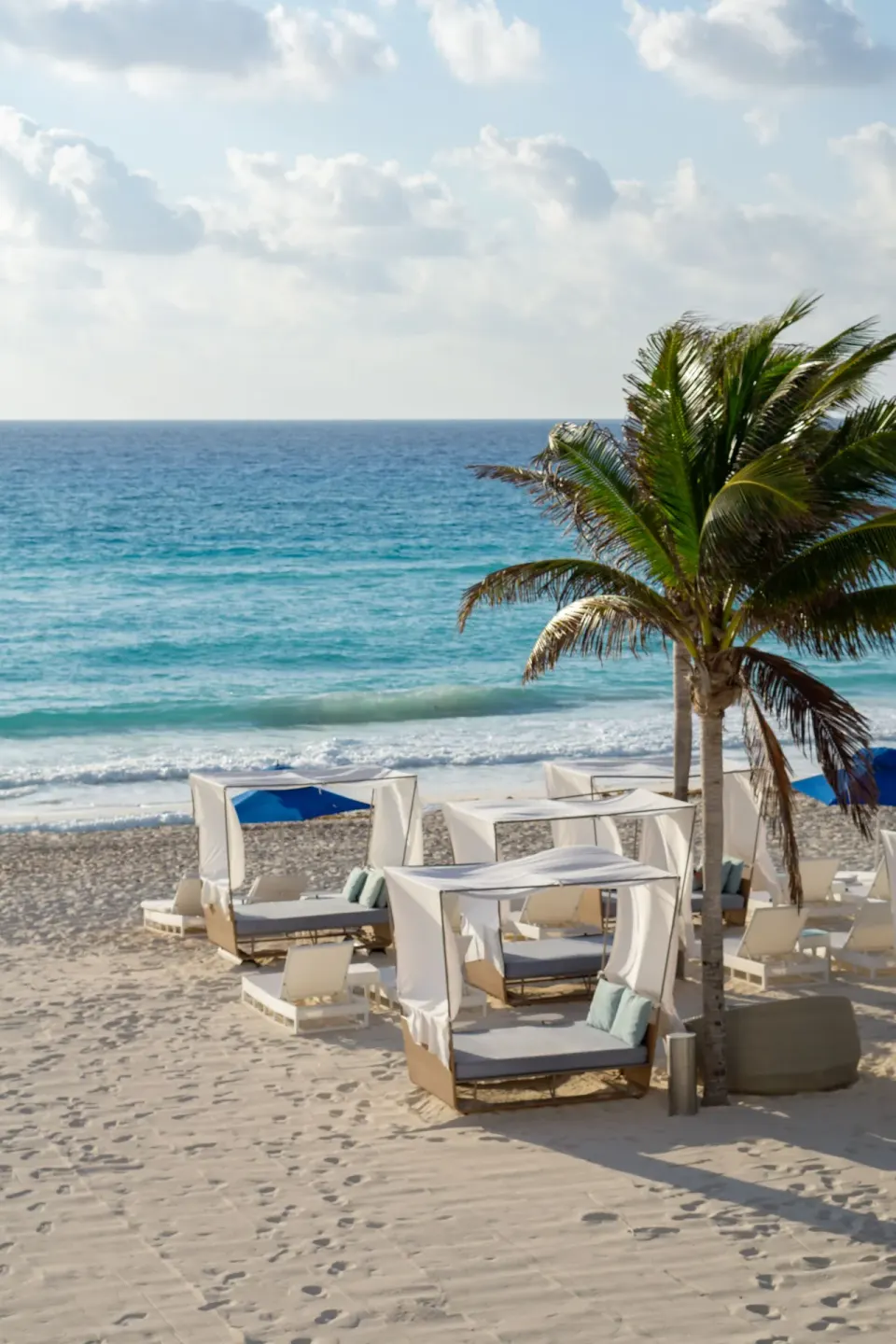 Beach cabanas and palm tree by the ocean at Sunset Royal Beach Resort.