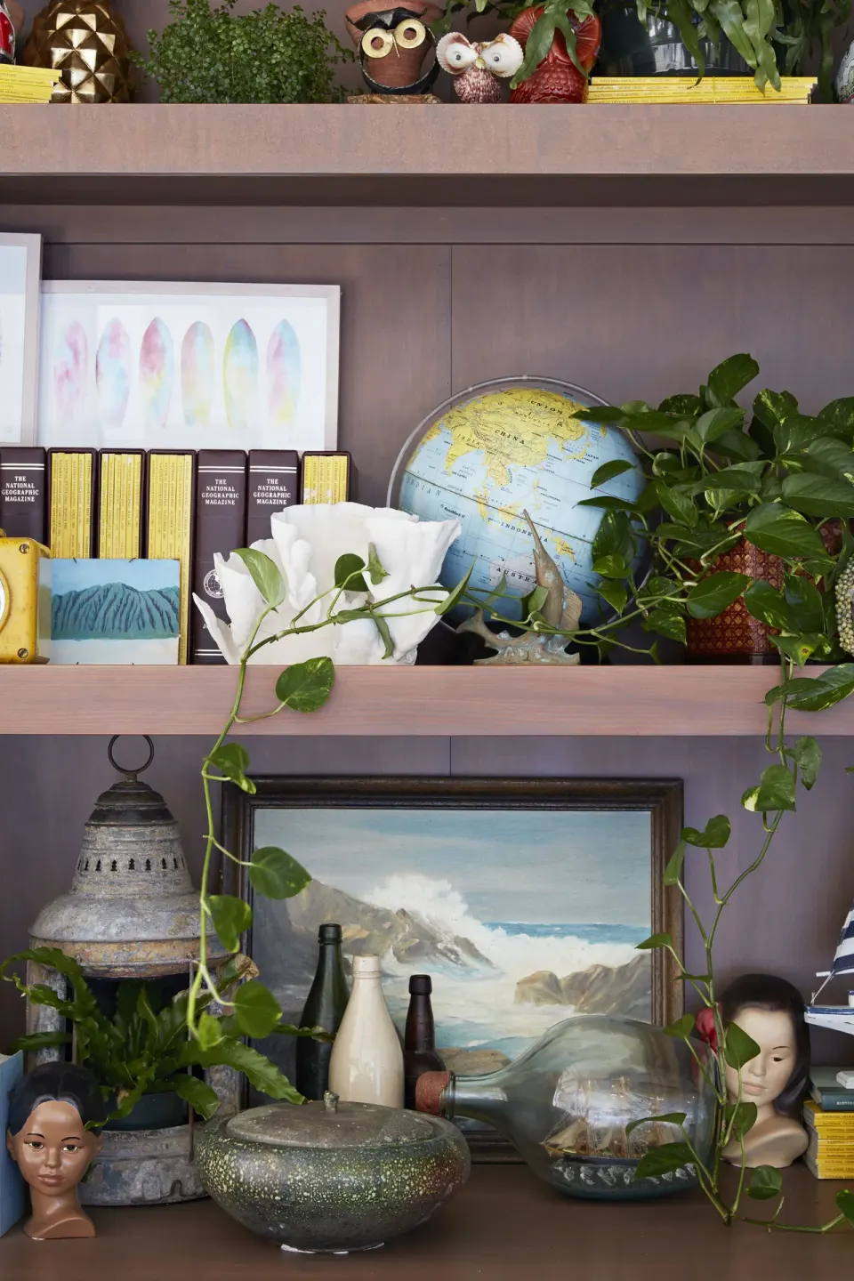 Decorative shelves with books, plants, a globe, and vintage objects at Surfjack Hotel & Swim Club.
