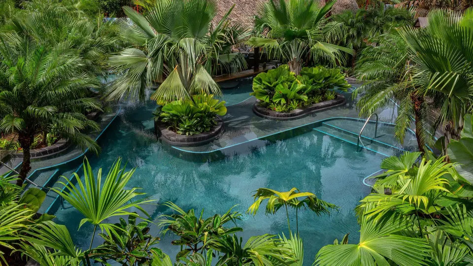 Resort pool with planted islands and steps surrounded by palms at Tabacón Thermal Resort & Spa