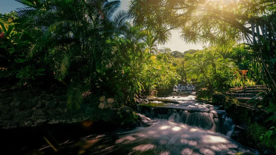 Sunlit stream and small falls winding through tropical gardens at Tabacón Thermal Resort & Spa