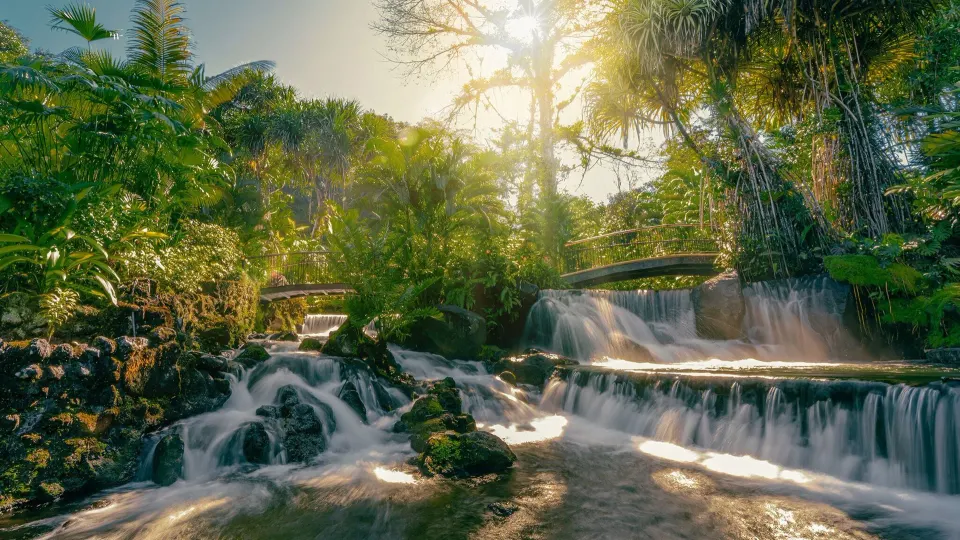 Tiered waterfall and tropical foliage at Tabacón Thermal Resort & Spa
