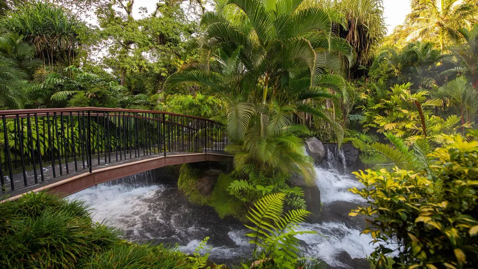 Wooden footbridge over a tropical waterfall and river at Tabacón Thermal Resort & Spa