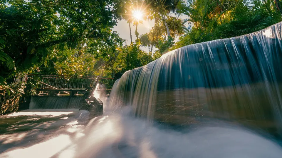 Water cascading over a curved edge into a thermal pool with sunlight filtering through trees at Tabacón Thermal Resort & Spa