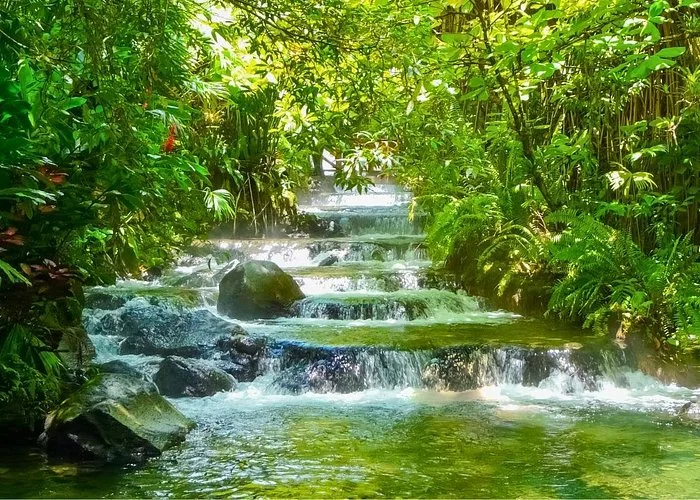 Tabacon Hot Springs