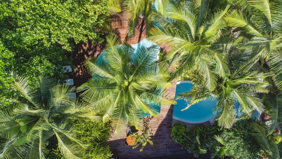 Aerial view of round pool hidden among palm trees at The Beach Tulum