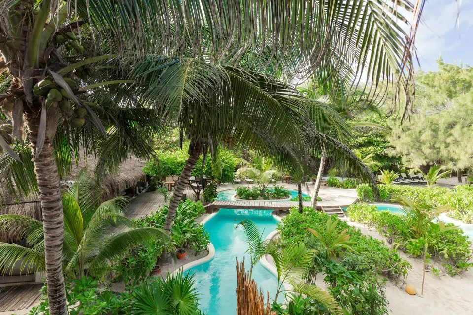 Tropical gardens and winding turquoise resort pool at The Beach Tulum