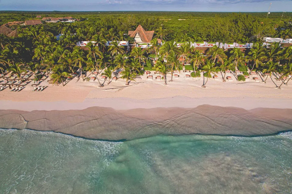 Aerial view of the sandy shoreline and palms in front of The Beach Tulum resort