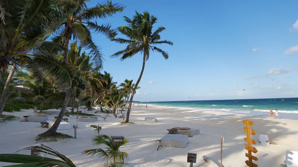 White-sand beach with palm trees and lounge beds at The Beach Tulum
