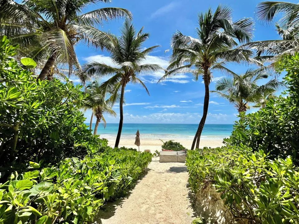 Sandy path framed by palms leading to the beach at The Beach Tulum