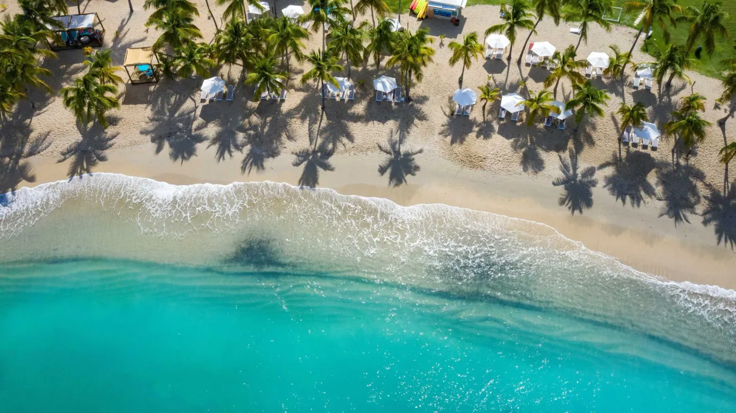 Aerial view of palm-lined beach and turquoise water at The Buccaneer Beach & Golf Resort.