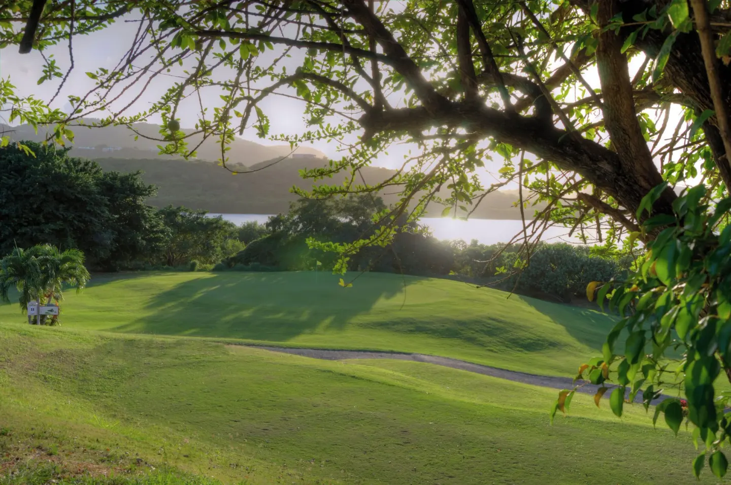 Golf green framed by trees and water at The Buccaneer Beach & Golf Resort.