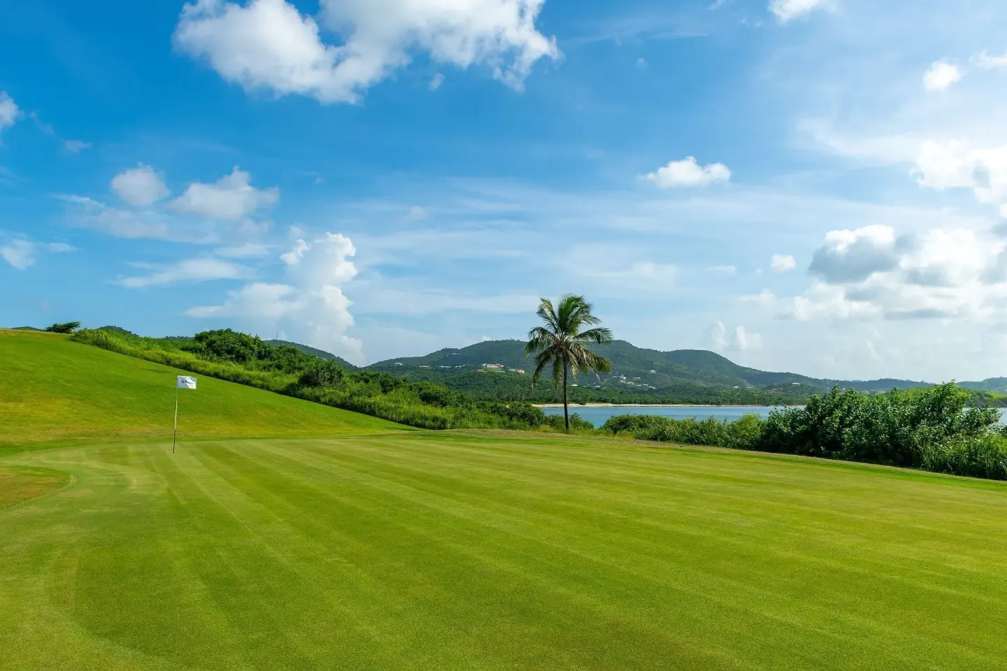 Golf green with flag, palm tree, and hillside views at The Buccaneer Beach & Golf Resort.