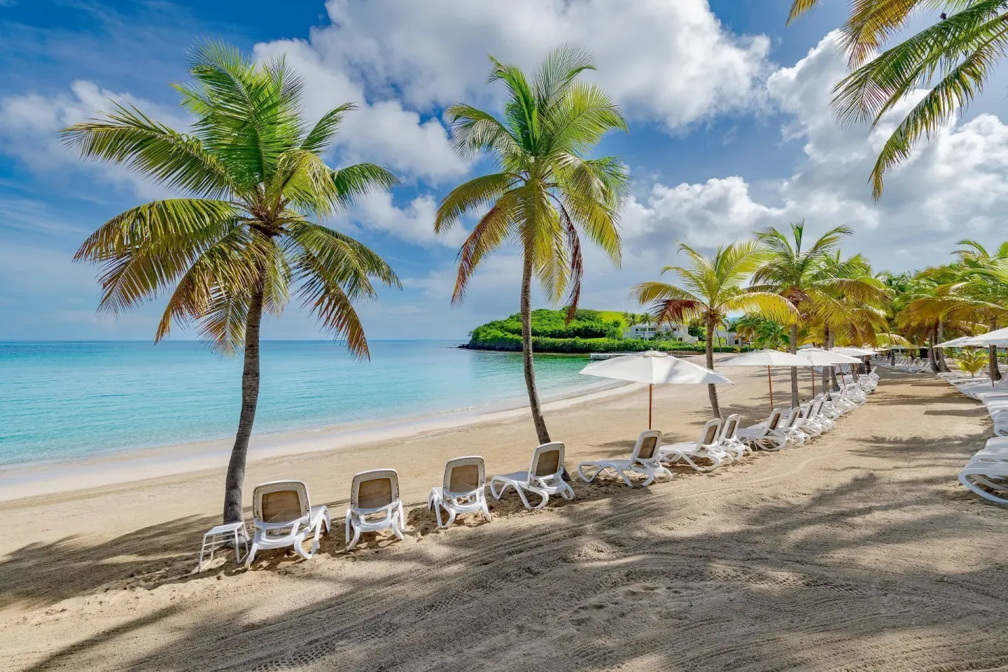 Beach loungers and umbrellas beneath palm trees at The Buccaneer Beach & Golf Resort.