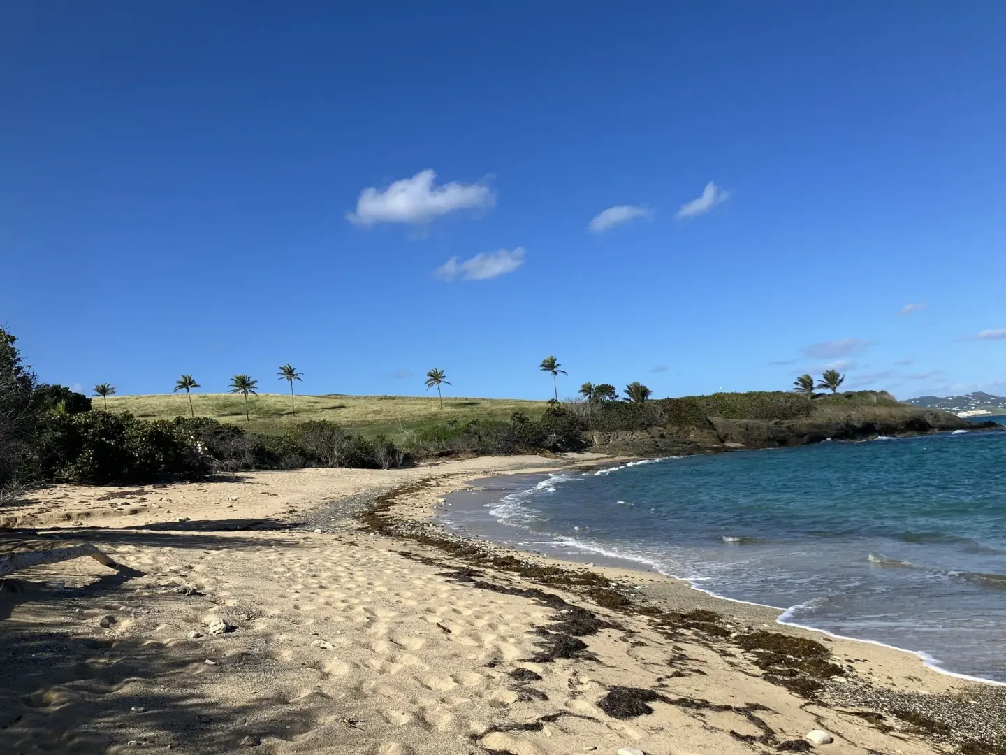 Whistle Beach 10 Min Walk