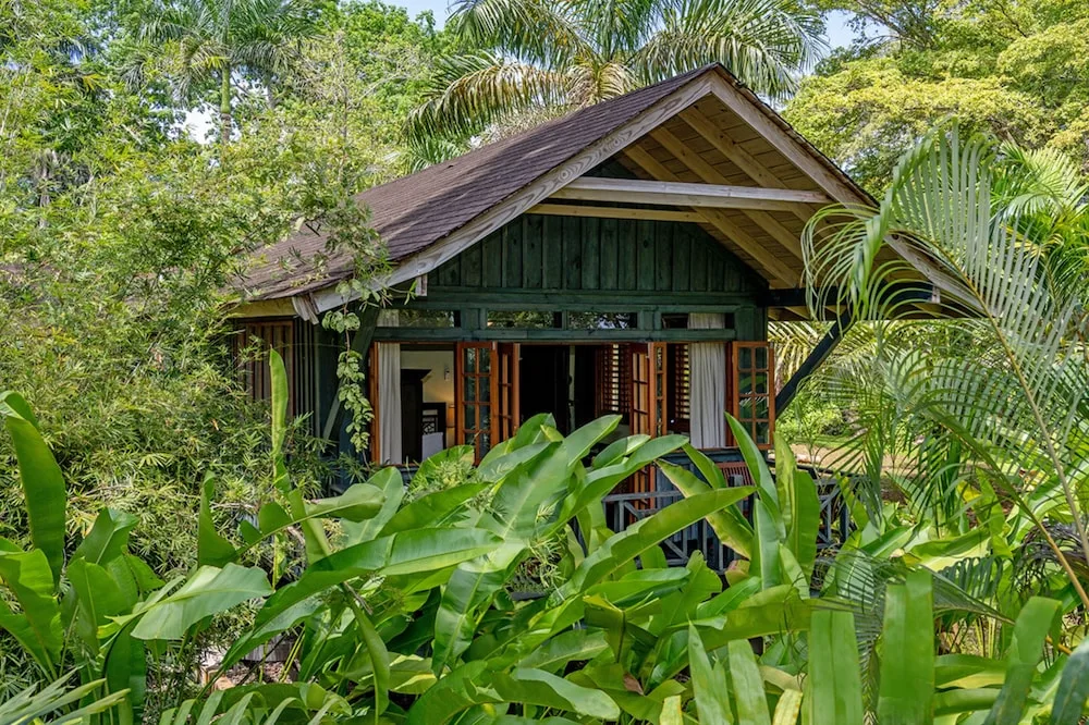 Sunset at the Palms Resort adults-only all-inclusive with treehouse-style rooms and tropical gardens