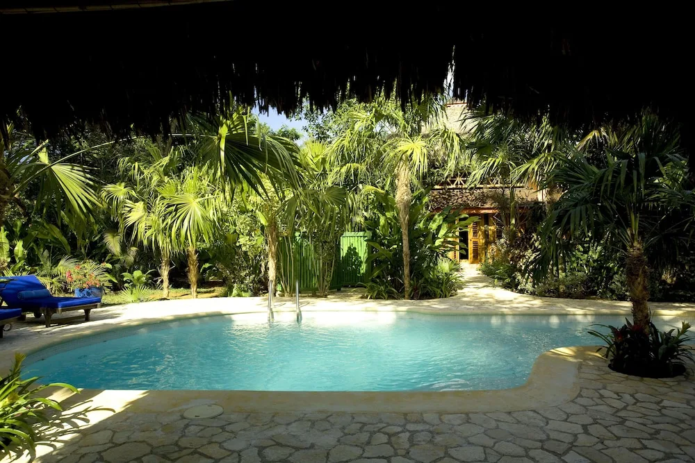 Garden pool surrounded by palms and lounge chairs at The Caves.