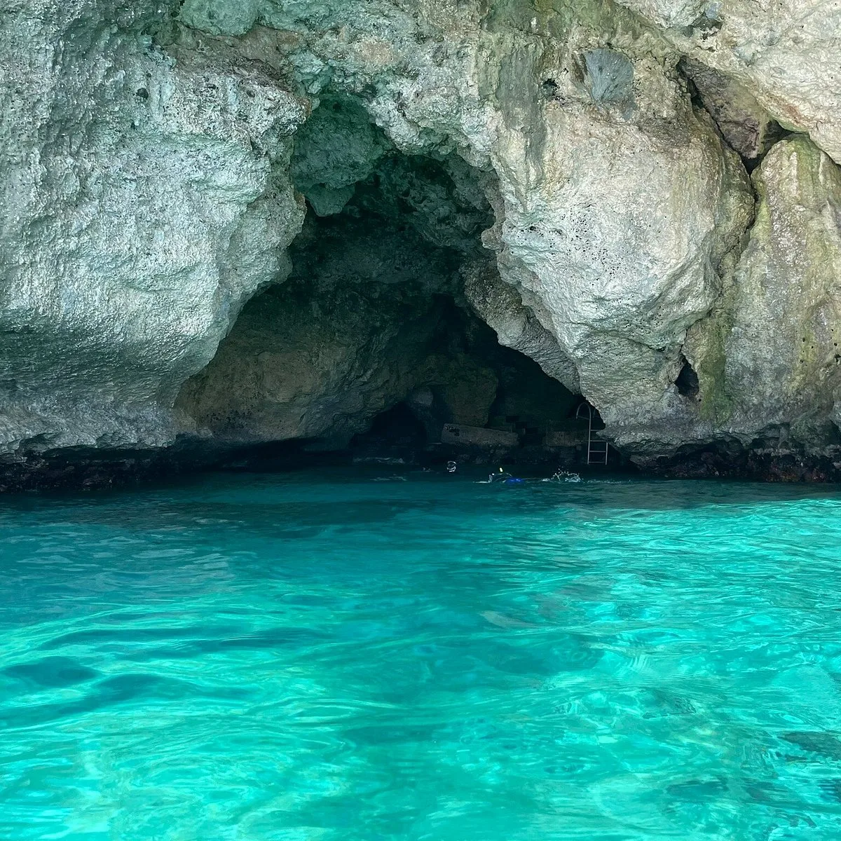 Joseph S Cave 5 Min Drive