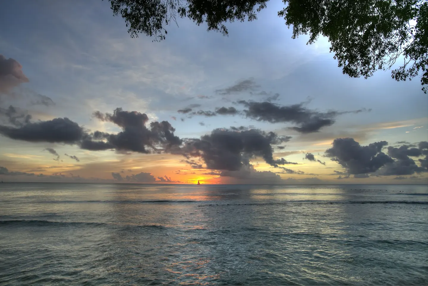 Sunset over the ocean beneath trees at The Club, Barbados Resort & Spa.