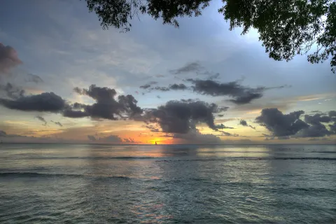 Sunset over the ocean beneath trees at The Club, Barbados Resort & Spa.