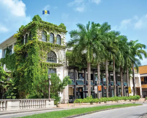 Limegrove Cinemas 15 Min Walk