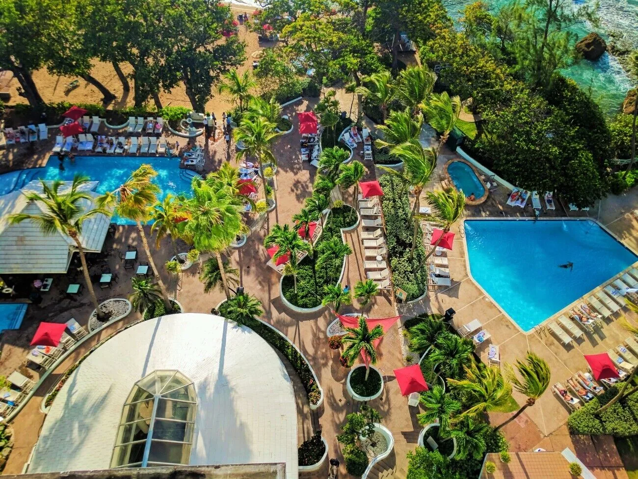 Aerial view of pools, paths, palms, and red umbrellas at The Condado Plaza Hotel.