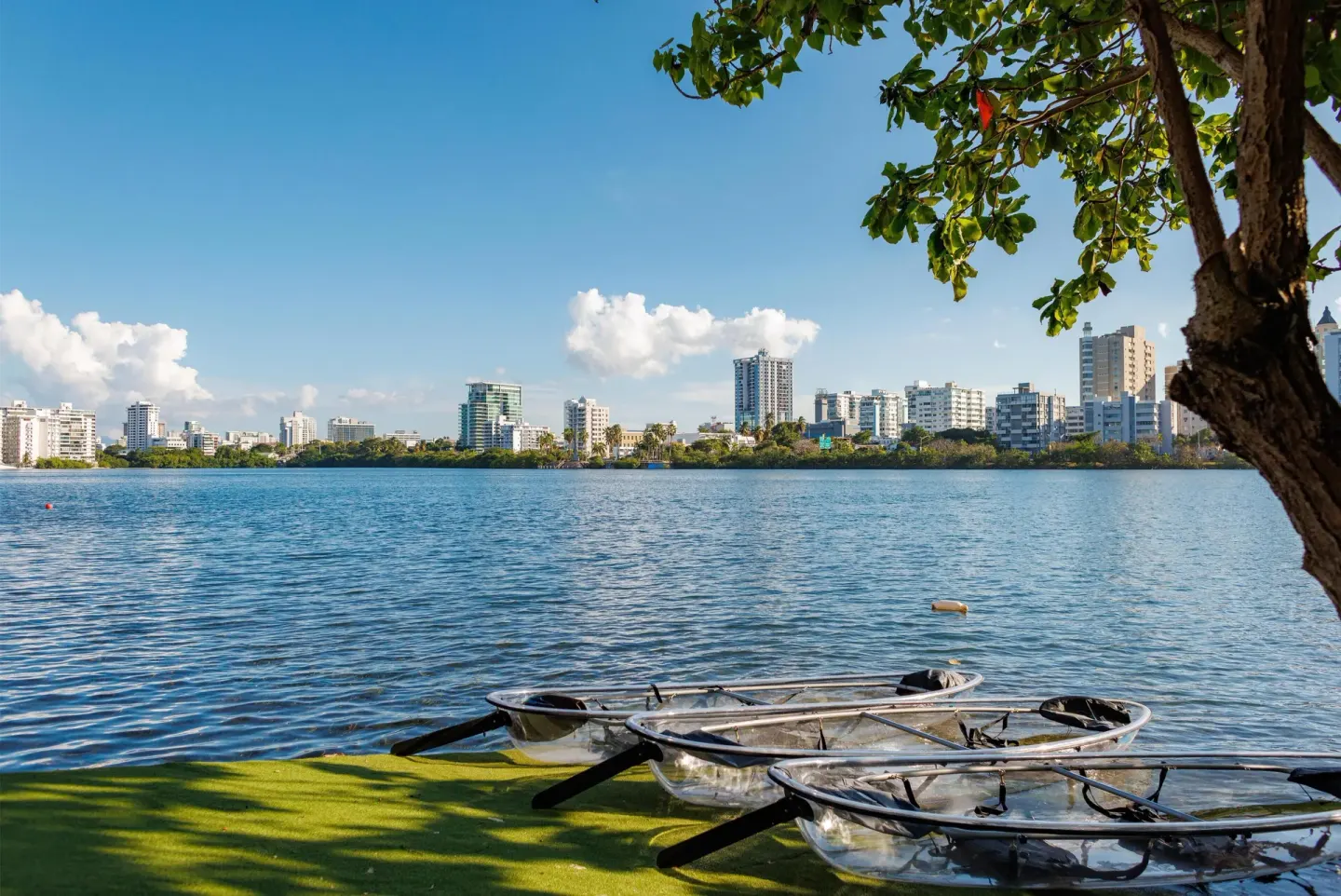 Clear kayaks on the lagoon with city buildings beyond The Condado Plaza Hotel.