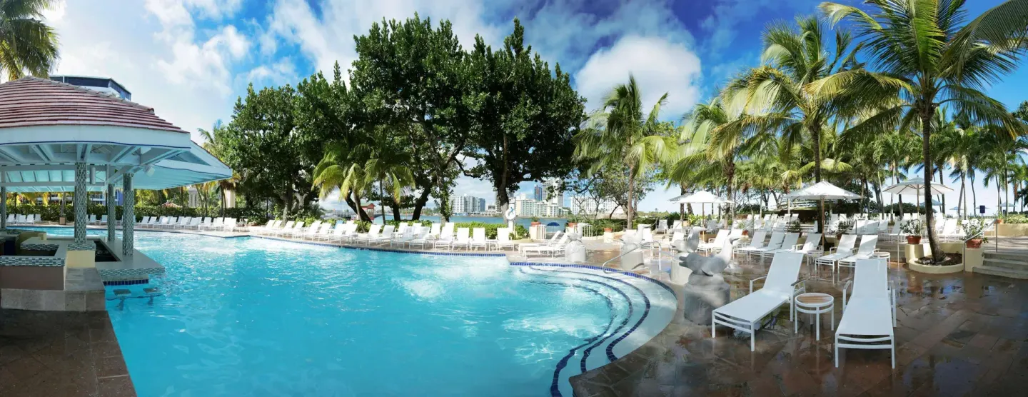 Curved resort pool with lounge chairs and palms at The Condado Plaza Hotel.