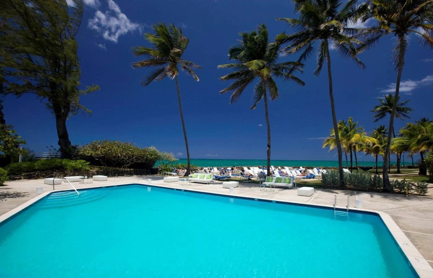 Oceanfront pool with palms and lounge chairs at The Condado Plaza Hotel.