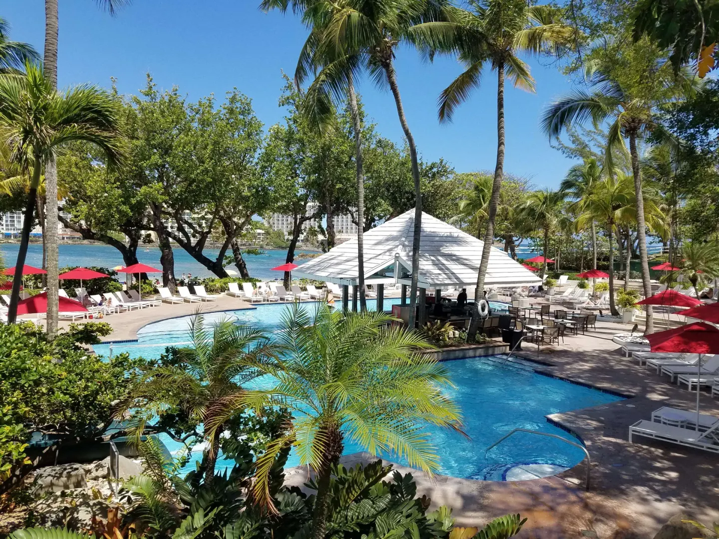 Palm-lined pool deck with red umbrellas at The Condado Plaza Hotel.