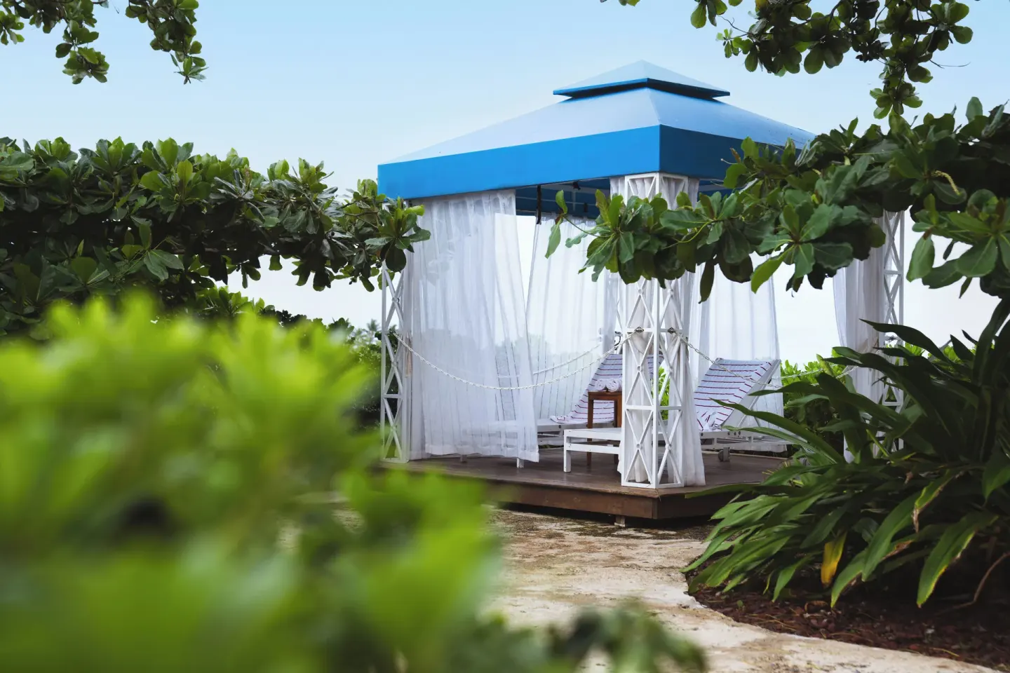 Blue-roof cabana with white curtains in tropical greenery at The Condado Plaza Hotel.