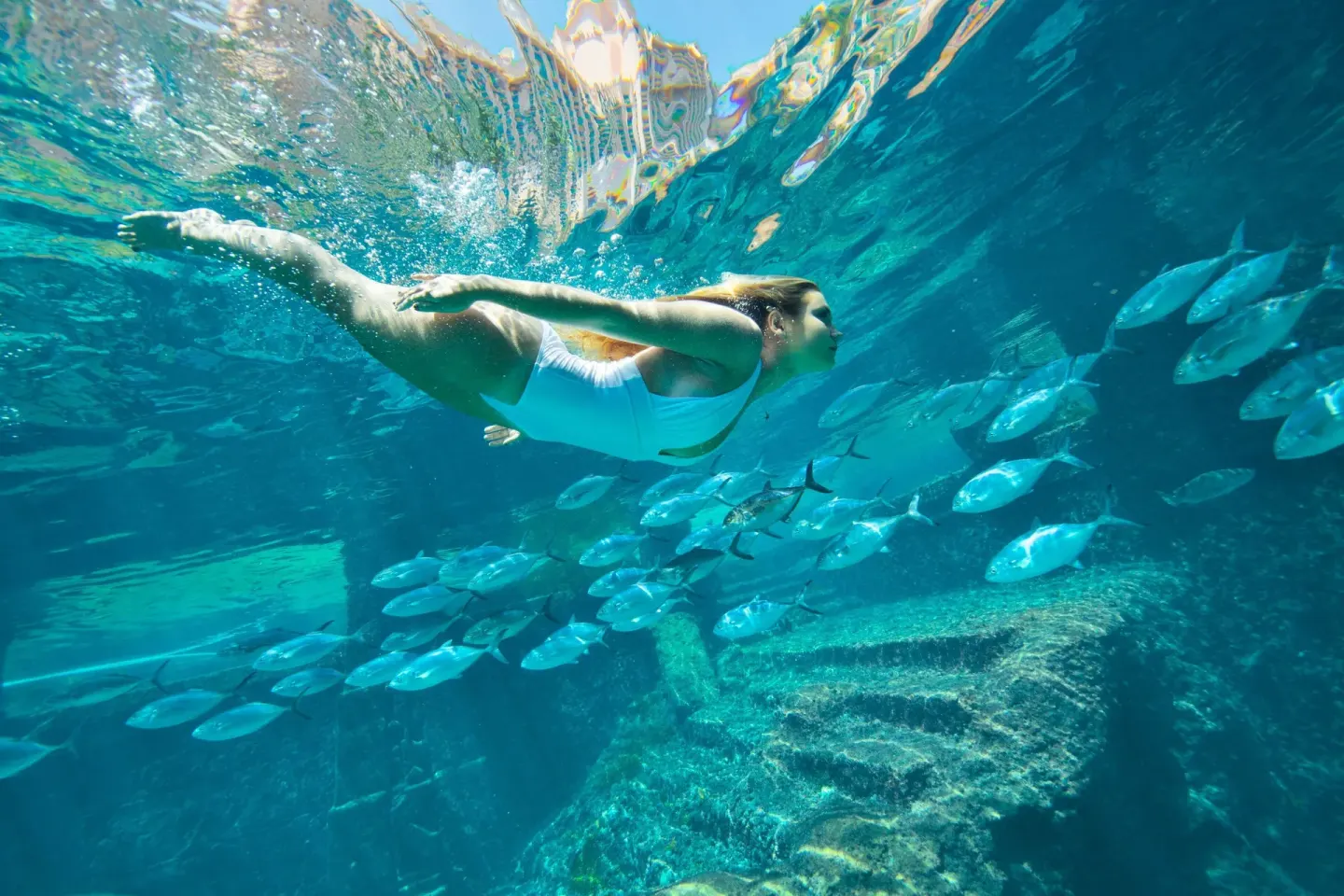 A swimmer moves underwater beside a school of fish at The Coral at Atlantis.