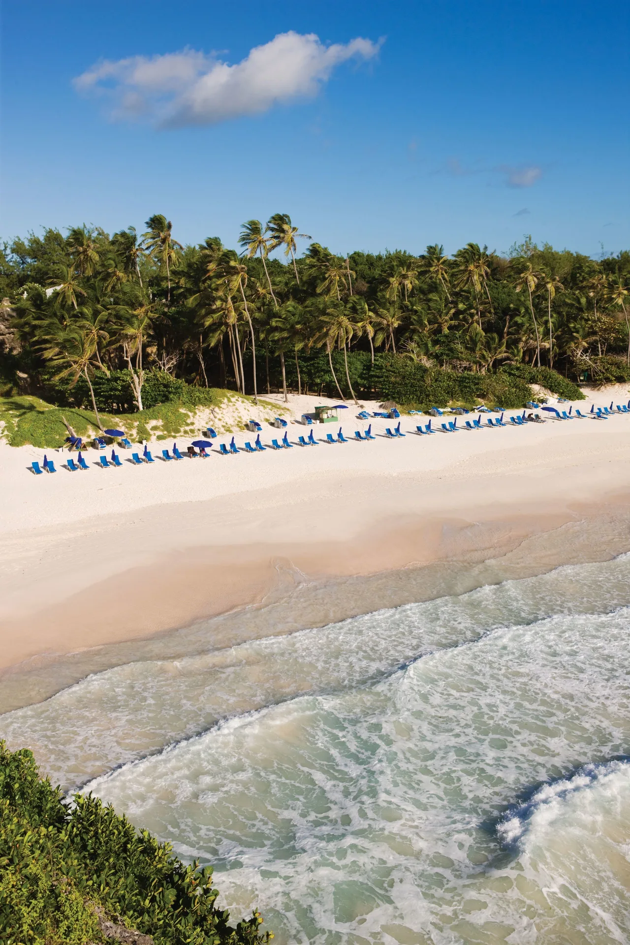 Palm-lined beach with blue lounge chairs below The Crane Resort.