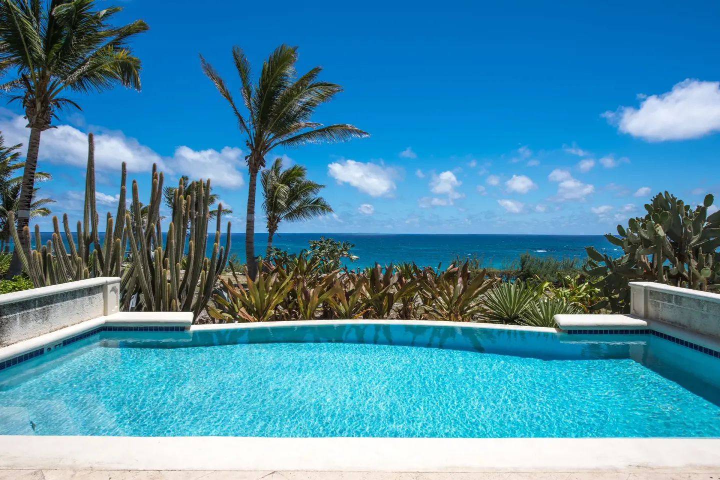 Private pool overlooking palms, cactus and the ocean at The Crane Resort.