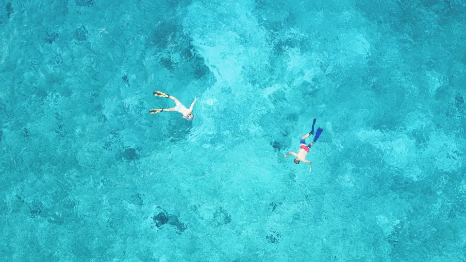 Two snorkelers floating over clear turquoise water off The Explorean Cozumel