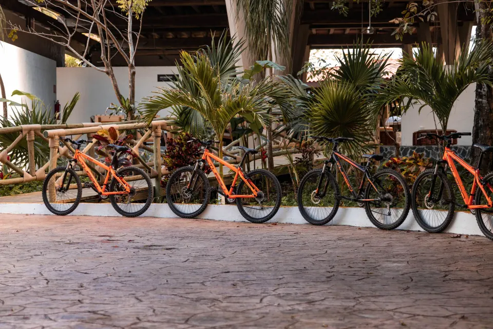 Row of guest bicycles parked under palms at The Explorean Cozumel.