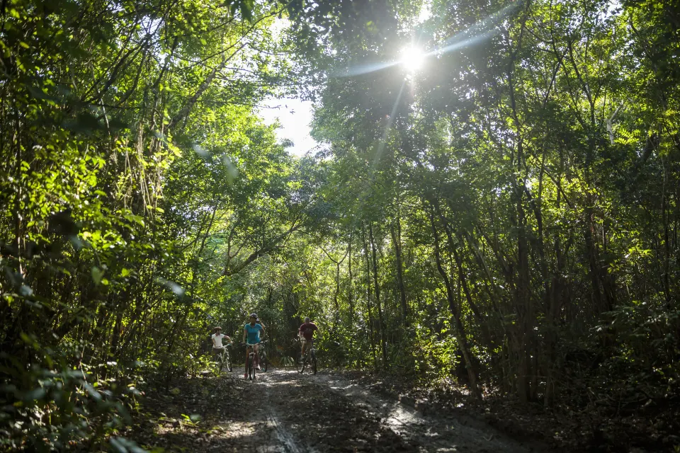 Two cyclists riding through sunlit forest trails at The Explorean Cozumel.