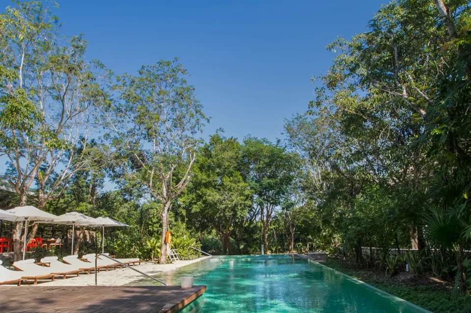 Long rectangular resort pool surrounded by trees and sun loungers at The Explorean Cozumel