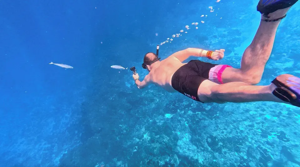 A snorkeler diving among fish in deep blue water at The Explorean Cozumel