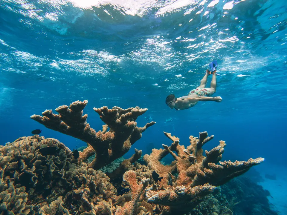 Snorkeler exploring coral reef in clear water at The Explorean Cozumel