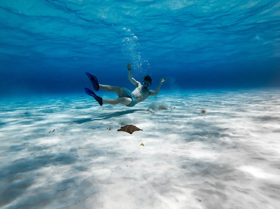 Snorkeler underwater near a stingray on a sandy bottom at The Explorean Cozumel.