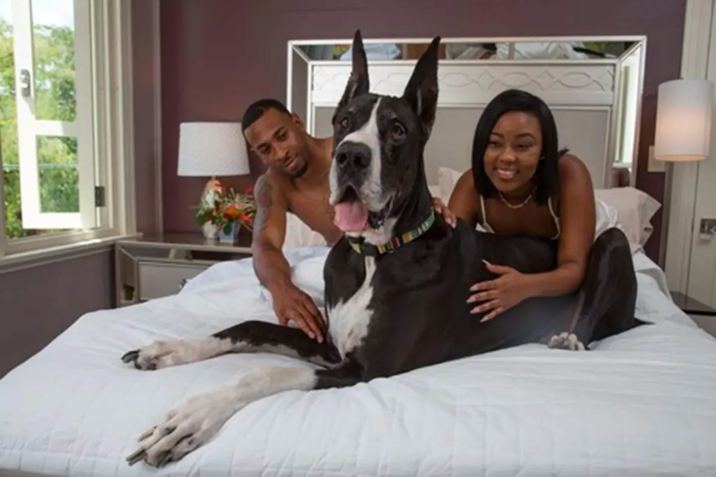 A couple relaxes on a white bed with a large dog in a guest room at The Fred.