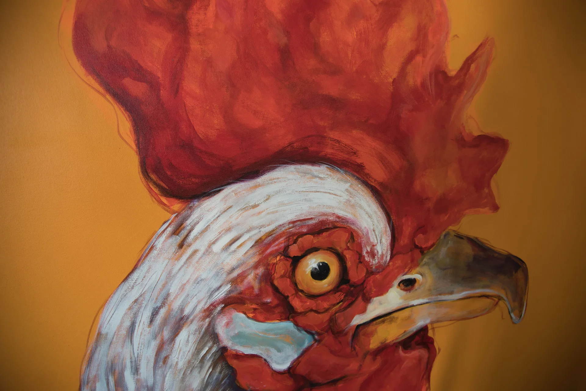 A close-up rooster painting with red and white feathers is displayed at The Fred.