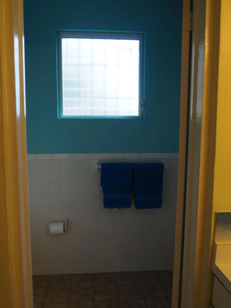 Bathroom with blue wall, window, and towel rack at The Green Iguana Hotel.