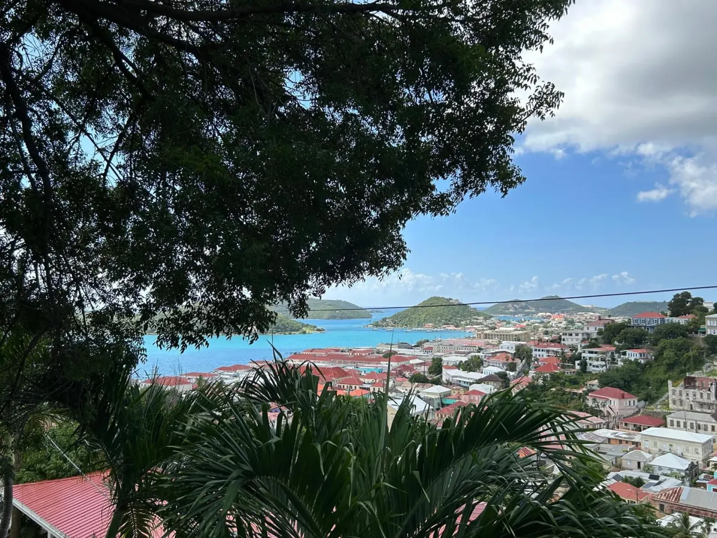 Harbor and hillside view framed by tropical trees at The Green Iguana Hotel.